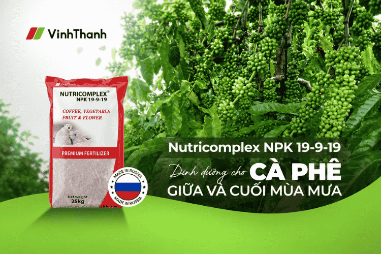Nutricomplex 19-9-19 - Dinh dưỡng cho cây cà phê giữa và cuối mùa mưa đến từ Vĩnh Thạnh