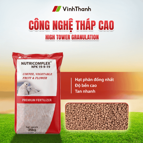 Nutricomplex NPK 19-9-19 được sản xuất theo công nghệ tháp cao tiên tiến