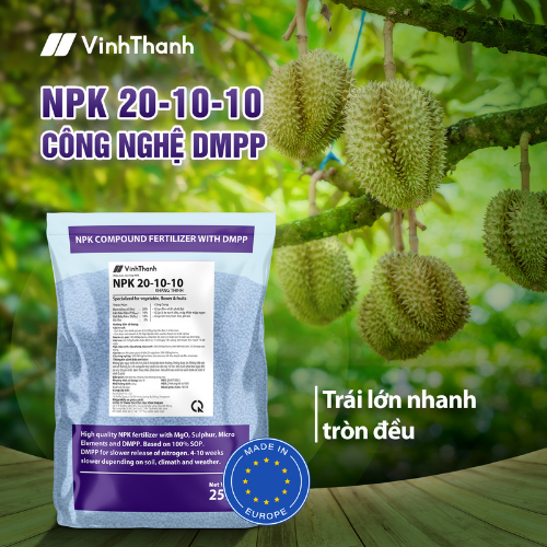 Phân bón NPK 20-20-20: Thúc trái lớn nhanh, tròn đều