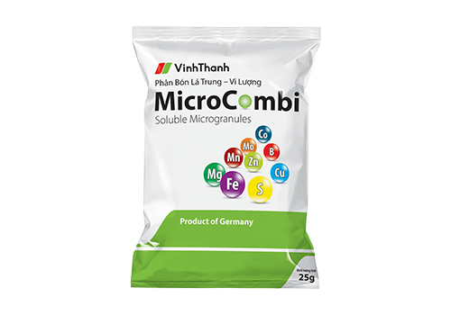 VINH THANH Microcombi
