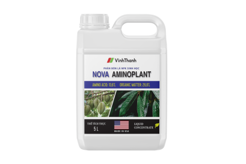 NOVA AMINO PLANT