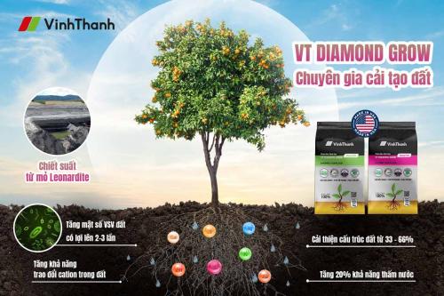 VT DIAMOND GROW – CHUYÊN GIA CẢI TẠO ĐẤT TOÀN DIỆN