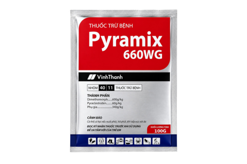 Pyramix 660WG