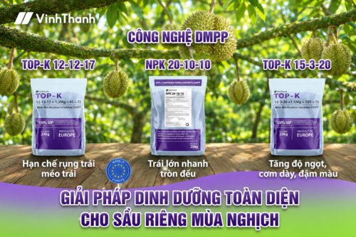 Giải Pháp Dinh Dưỡng Cho Sầu Riêng Mùa Nghịch: Vững Cây, Khỏe Hoa, Nuôi Trái Đạt Chuẩn
